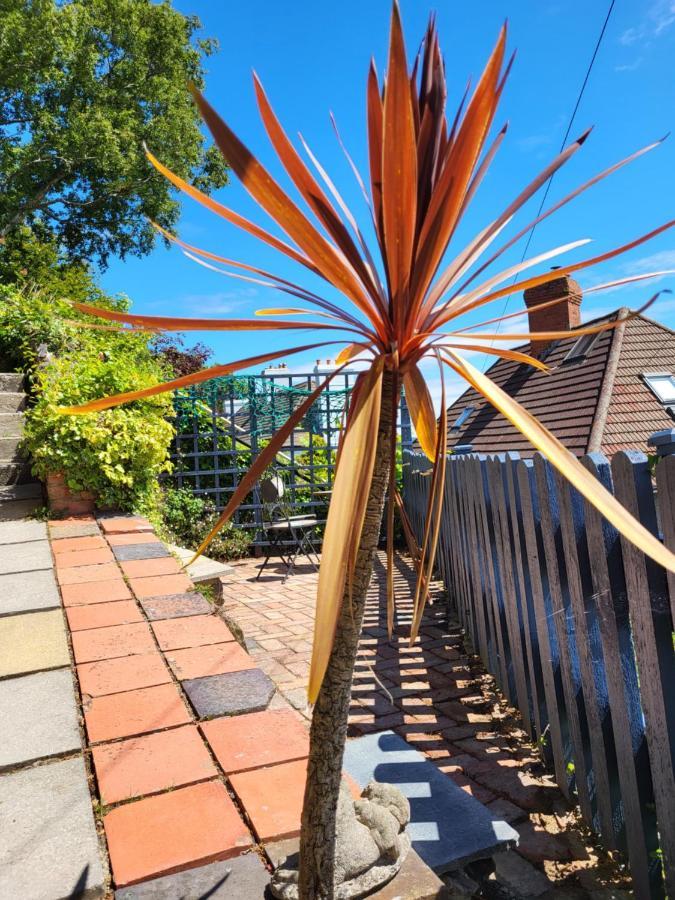 Seasidesteps Fishguard Exterior photo